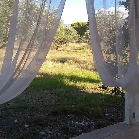 Olive Garden Kyparissia