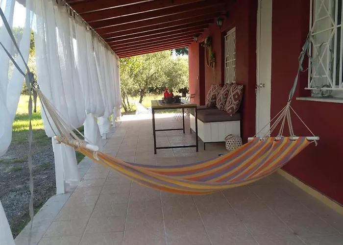 Alojamento de Turismo Selvagem Olive Garden *