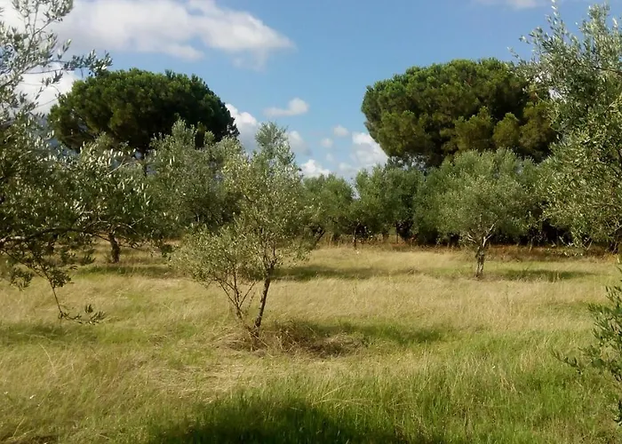 Olive Garden Alojamento de Turismo Selvagem