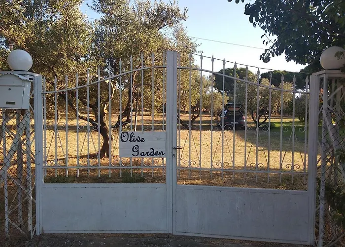 Alojamento de Turismo Selvagem Olive Garden *