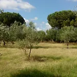 Olive Garden بيت خشبي