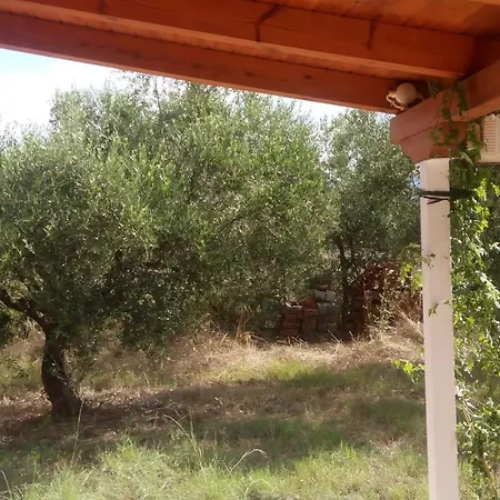 Olive Garden Kipariszía