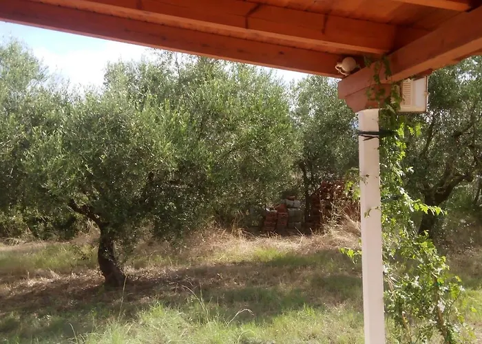 Olive Garden Кипарисия